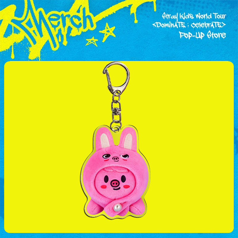 Stray Kids Acrylic Keychain Wo - مراجعة Anime Merch Store وسعره